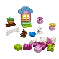 Rabbit Hutch - Duplo in Pink Box